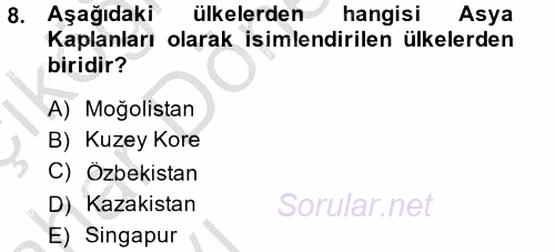 Gelişmekte Olan Ülkelerde Siyaset 2014 - 2015 Ara Sınavı 8.Soru