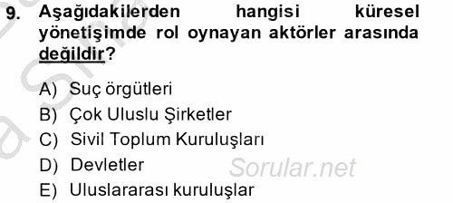 Gelişmekte Olan Ülkelerde Siyaset 2014 - 2015 Ara Sınavı 9.Soru
