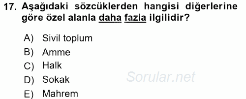 Din Sosyolojisi 2017 - 2018 Dönem Sonu Sınavı 17.Soru