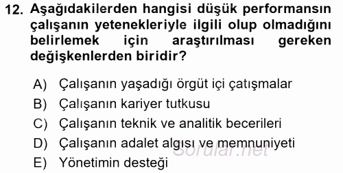 Performans Yönetimi 2017 - 2018 Dönem Sonu Sınavı 12.Soru