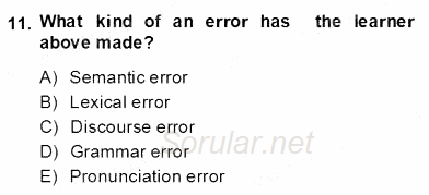 Dilbilgisi Öğretimi 2013 - 2014 Dönem Sonu Sınavı 11.Soru