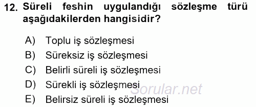 Bireysel İş Hukuku 2015 - 2016 Tek Ders Sınavı 12.Soru