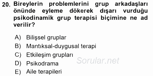 Birey ve Davranış 2017 - 2018 Dönem Sonu Sınavı 20.Soru