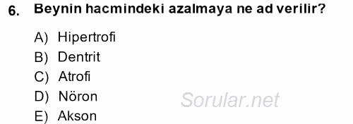 Yaşlı ve Hasta Bakım Hizmetleri 2014 - 2015 Ara Sınavı 6.Soru