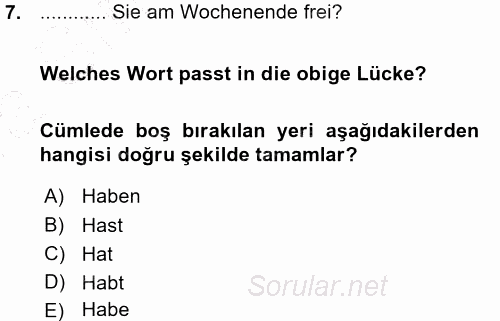 Almanca 1 2015 - 2016 Ara Sınavı 7.Soru