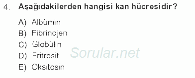 Tıbbi Terminoloji 2012 - 2013 Tek Ders Sınavı 4.Soru