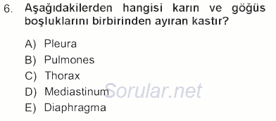 Tıbbi Terminoloji 2012 - 2013 Tek Ders Sınavı 6.Soru