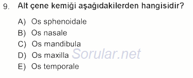 Tıbbi Terminoloji 2012 - 2013 Tek Ders Sınavı 9.Soru