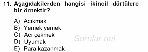 Davranış Bilimleri 2 2012 - 2013 Ara Sınavı 11.Soru