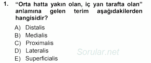 Temel Veteriner Anatomi 2012 - 2013 Ara Sınavı 1.Soru