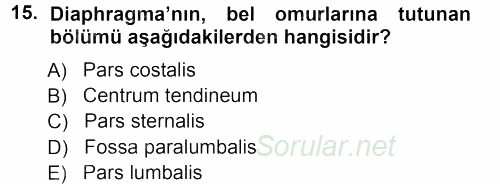 Temel Veteriner Anatomi 2012 - 2013 Ara Sınavı 15.Soru