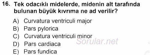 Temel Veteriner Anatomi 2012 - 2013 Ara Sınavı 16.Soru