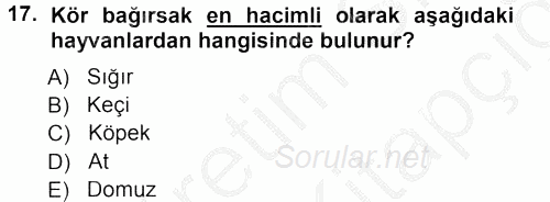 Temel Veteriner Anatomi 2012 - 2013 Ara Sınavı 17.Soru