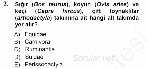 Temel Veteriner Anatomi 2012 - 2013 Ara Sınavı 3.Soru