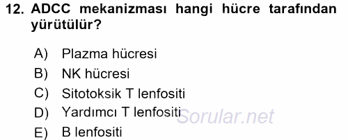 Temel Veteriner Mikrobiyoloji ve İmmünoloji 2015 - 2016 Tek Ders Sınavı 12.Soru