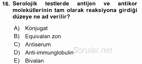 Temel Veteriner Mikrobiyoloji ve İmmünoloji 2015 - 2016 Tek Ders Sınavı 16.Soru