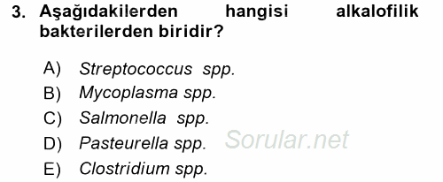 Temel Veteriner Mikrobiyoloji ve İmmünoloji 2015 - 2016 Tek Ders Sınavı 3.Soru