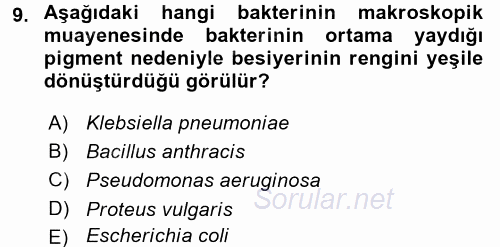 Temel Veteriner Mikrobiyoloji ve İmmünoloji 2015 - 2016 Tek Ders Sınavı 9.Soru