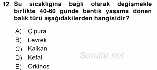 Balık Yetiştiriciliği 2015 - 2016 Tek Ders Sınavı 12.Soru