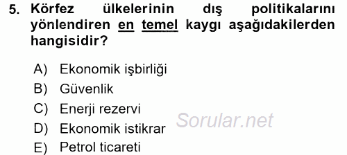 Orta Doğuda Siyaset 2016 - 2017 Dönem Sonu Sınavı 5.Soru