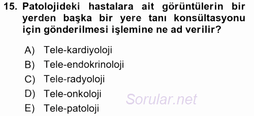 Sağlık Kurumlarında Bilgi Sistemleri 2015 - 2016 Tek Ders Sınavı 15.Soru