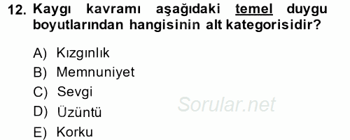 Örgütsel Davranış 2013 - 2014 Ara Sınavı 12.Soru