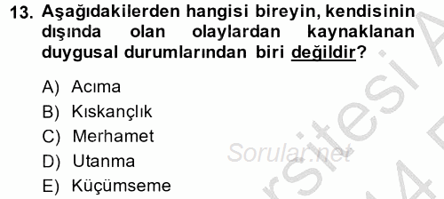 Örgütsel Davranış 2013 - 2014 Ara Sınavı 13.Soru