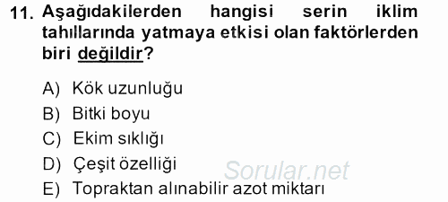 Tarla Bitkileri 1 2013 - 2014 Ara Sınavı 11.Soru