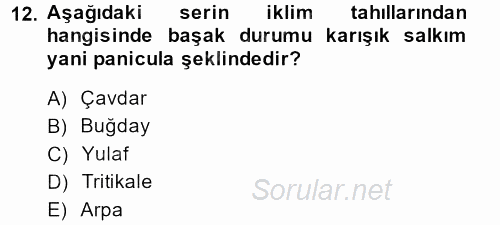 Tarla Bitkileri 1 2013 - 2014 Ara Sınavı 12.Soru