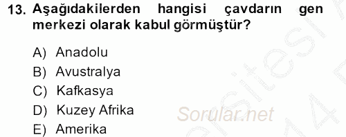 Tarla Bitkileri 1 2013 - 2014 Ara Sınavı 13.Soru
