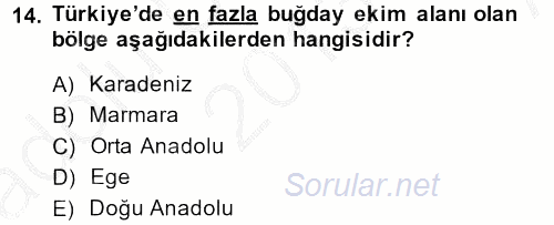 Tarla Bitkileri 1 2013 - 2014 Ara Sınavı 14.Soru