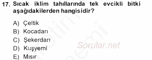 Tarla Bitkileri 1 2013 - 2014 Ara Sınavı 17.Soru