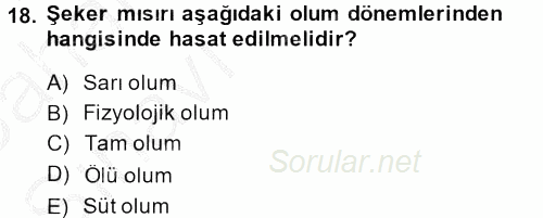 Tarla Bitkileri 1 2013 - 2014 Ara Sınavı 18.Soru