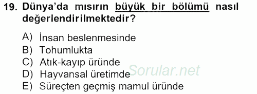 Tarla Bitkileri 1 2013 - 2014 Ara Sınavı 19.Soru