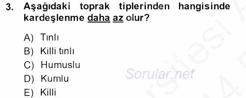 Tarla Bitkileri 1 2013 - 2014 Ara Sınavı 3.Soru