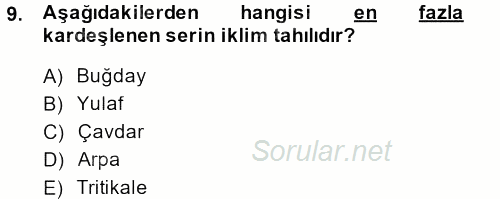 Tarla Bitkileri 1 2013 - 2014 Ara Sınavı 9.Soru