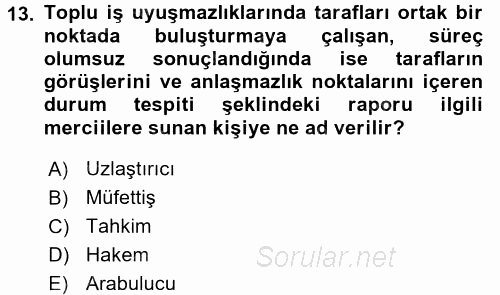 Endüstri İlişkileri 2015 - 2016 Tek Ders Sınavı 13.Soru