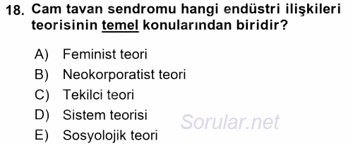 Endüstri İlişkileri 2015 - 2016 Tek Ders Sınavı 18.Soru