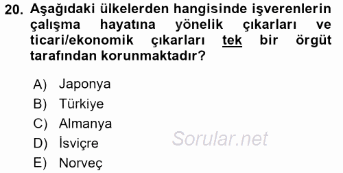 Endüstri İlişkileri 2015 - 2016 Tek Ders Sınavı 20.Soru