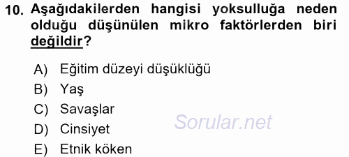 Gelir Dağılımı ve Yoksulluk 2017 - 2018 Dönem Sonu Sınavı 10.Soru