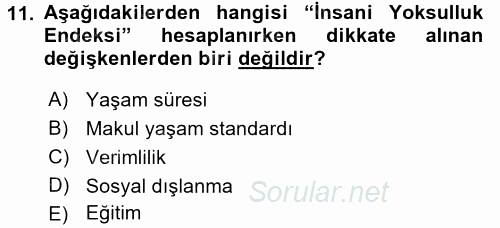 Gelir Dağılımı ve Yoksulluk 2017 - 2018 Dönem Sonu Sınavı 11.Soru