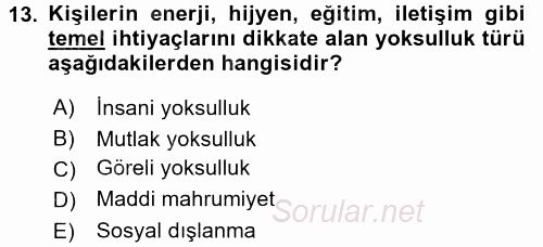 Gelir Dağılımı ve Yoksulluk 2017 - 2018 Dönem Sonu Sınavı 13.Soru