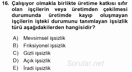 Gelir Dağılımı ve Yoksulluk 2017 - 2018 Dönem Sonu Sınavı 16.Soru