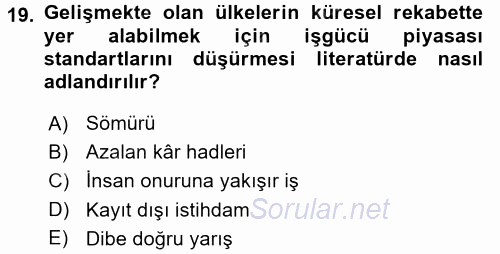 Gelir Dağılımı ve Yoksulluk 2017 - 2018 Dönem Sonu Sınavı 19.Soru