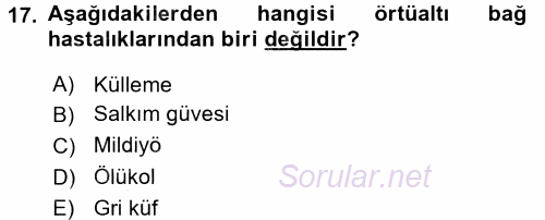 Örtü Altı Üretim Sistemleri 2016 - 2017 Dönem Sonu Sınavı 17.Soru