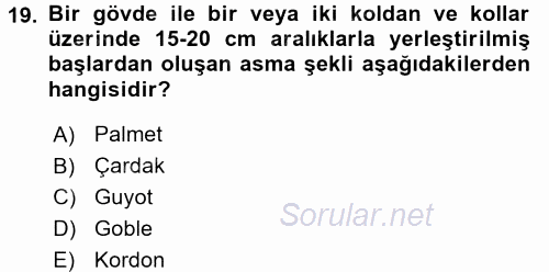 Örtü Altı Üretim Sistemleri 2016 - 2017 Dönem Sonu Sınavı 19.Soru