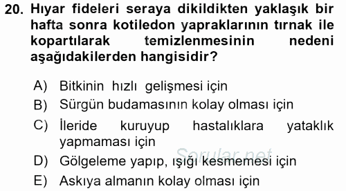 Örtü Altı Üretim Sistemleri 2016 - 2017 Dönem Sonu Sınavı 20.Soru