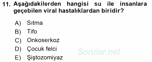 Hijyen ve Sanitasyon 2015 - 2016 Ara Sınavı 11.Soru