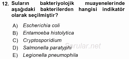 Hijyen ve Sanitasyon 2015 - 2016 Ara Sınavı 12.Soru