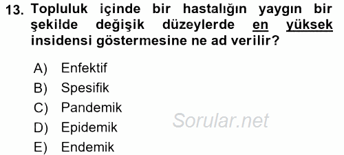 Hijyen ve Sanitasyon 2015 - 2016 Ara Sınavı 13.Soru